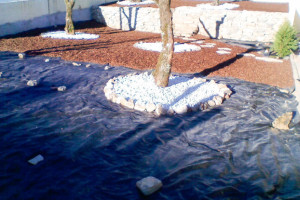 Landscape fabric reduces maintenance.