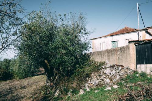 Old roof